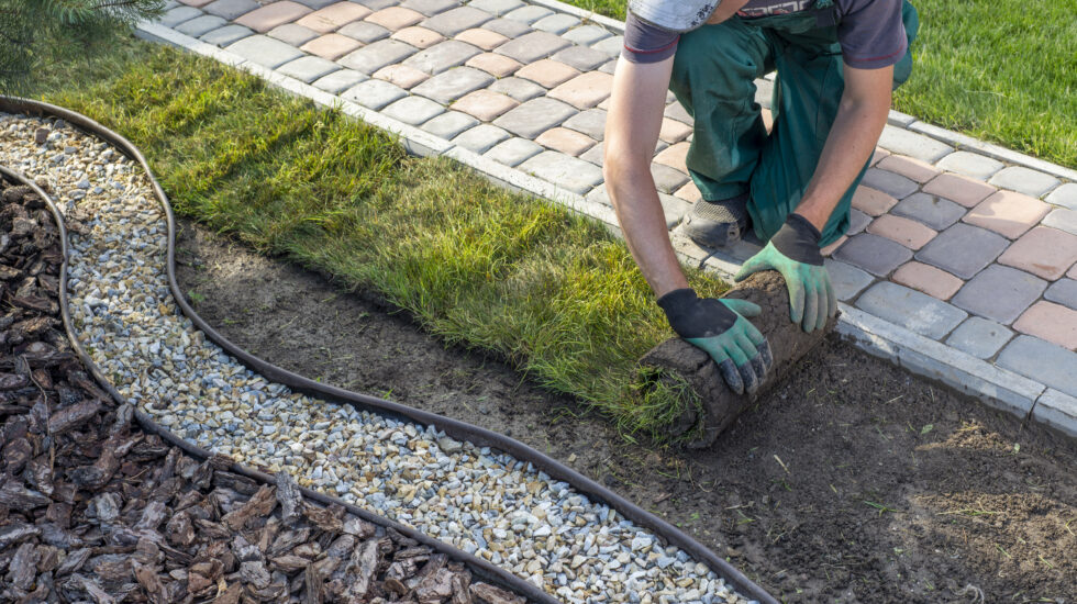Landscape Gardener Laying Turf For New Lawn